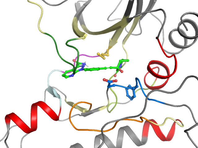 The orthosteric binding pocket