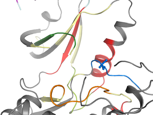 The orthosteric binding pocket