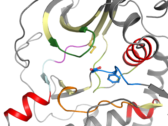 The orthosteric binding pocket