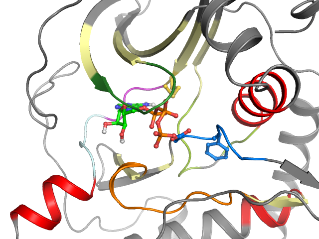 The orthosteric binding pocket