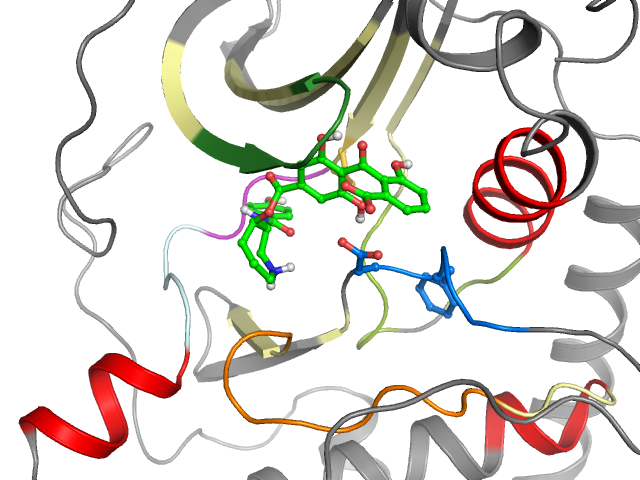 The orthosteric binding pocket