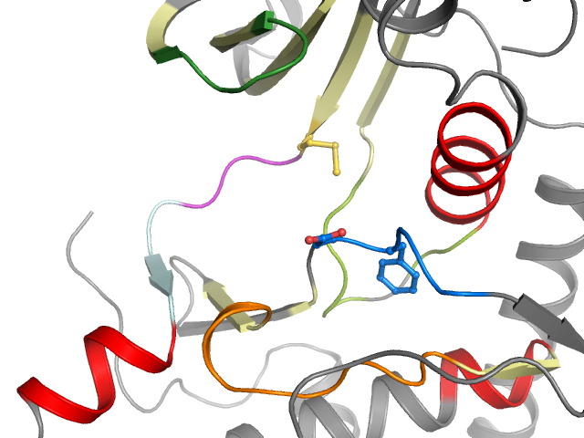 The orthosteric binding pocket