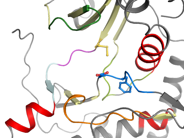 The orthosteric binding pocket