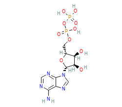 2D structure of the orthosteric ligand