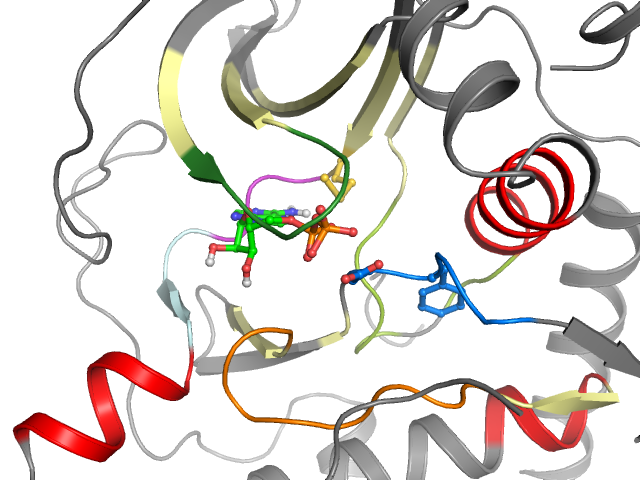 The orthosteric binding pocket