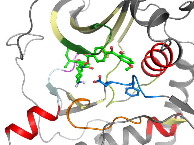The orthosteric binding pocket