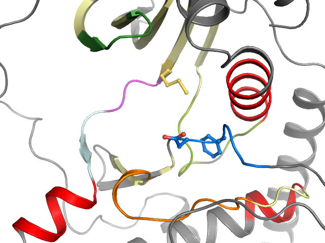 The orthosteric binding pocket