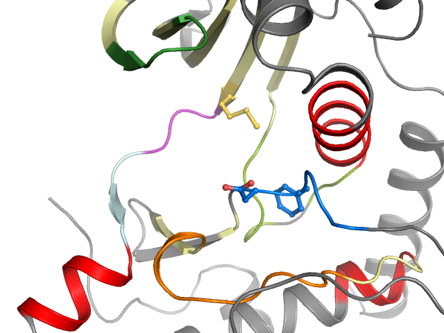 The orthosteric binding pocket
