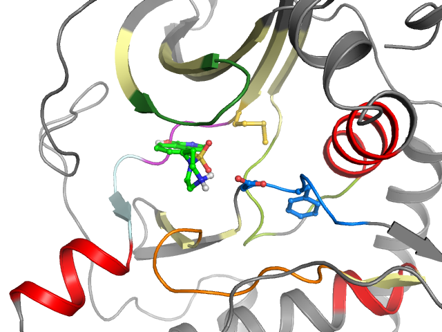 The orthosteric binding pocket