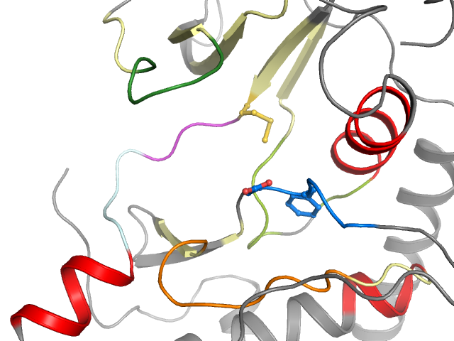 The orthosteric binding pocket