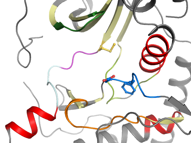 The orthosteric binding pocket