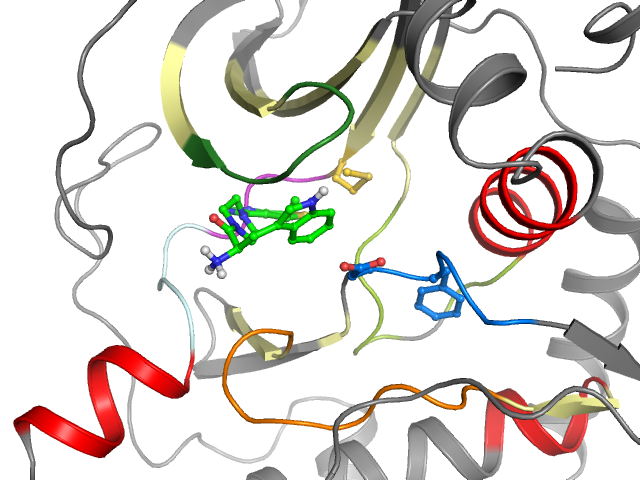 The orthosteric binding pocket