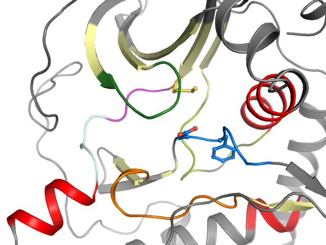 The orthosteric binding pocket