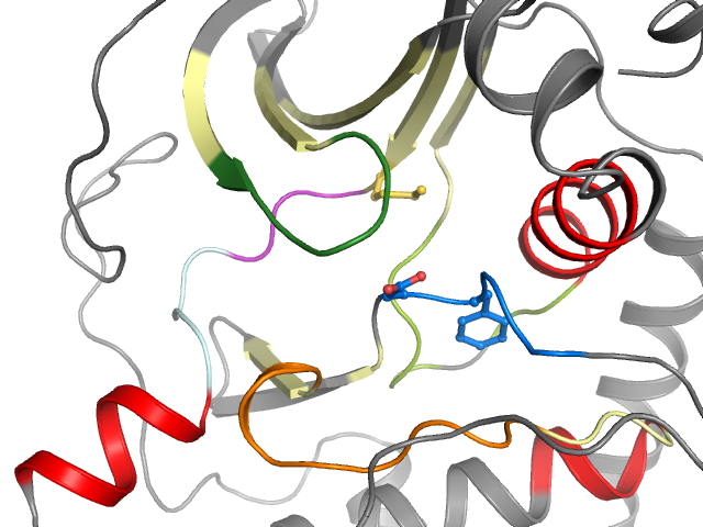 The orthosteric binding pocket