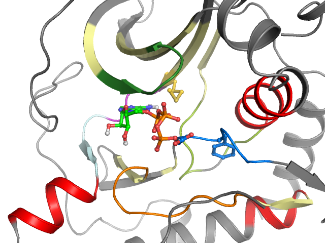 The orthosteric binding pocket
