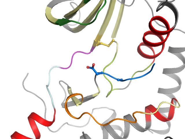 The orthosteric binding pocket