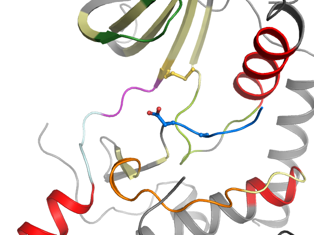 The orthosteric binding pocket