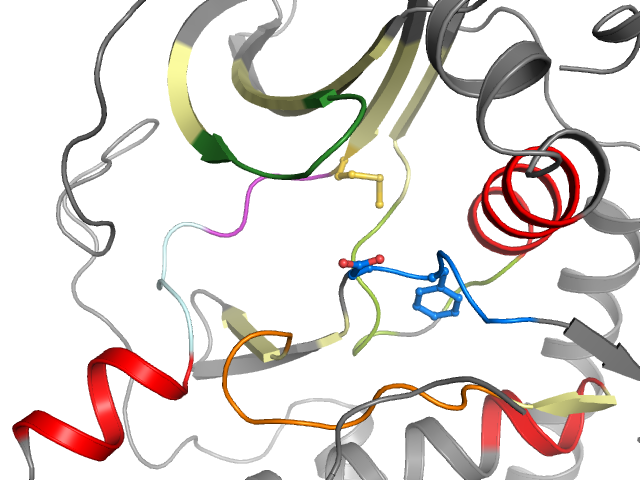 The orthosteric binding pocket