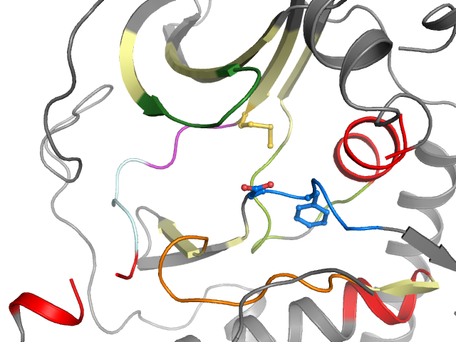 The orthosteric binding pocket