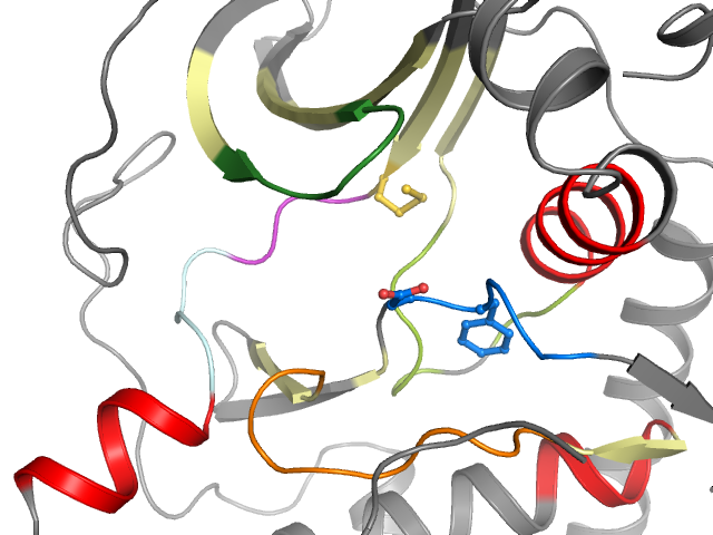 The orthosteric binding pocket