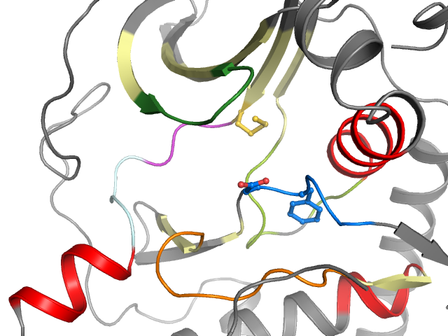 The orthosteric binding pocket