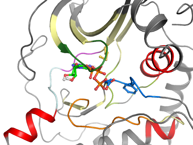 The orthosteric binding pocket