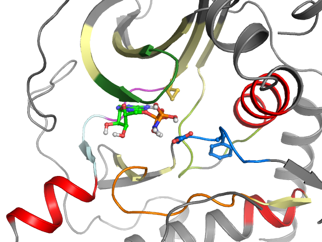 The orthosteric binding pocket
