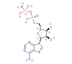 2D structure of the orthosteric ligand