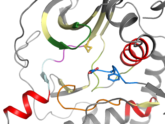 The orthosteric binding pocket