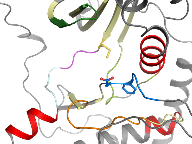 The orthosteric binding pocket