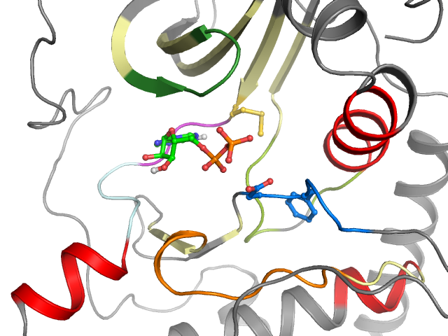 The orthosteric binding pocket