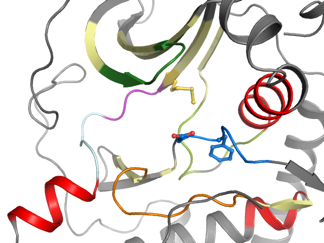 The orthosteric binding pocket
