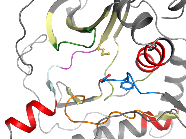 The orthosteric binding pocket