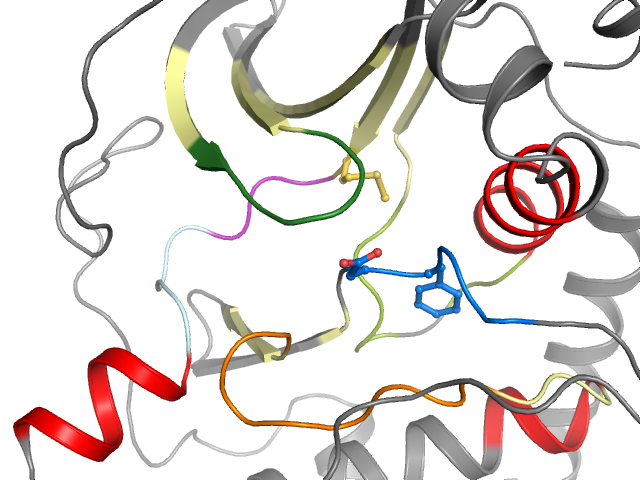 The orthosteric binding pocket