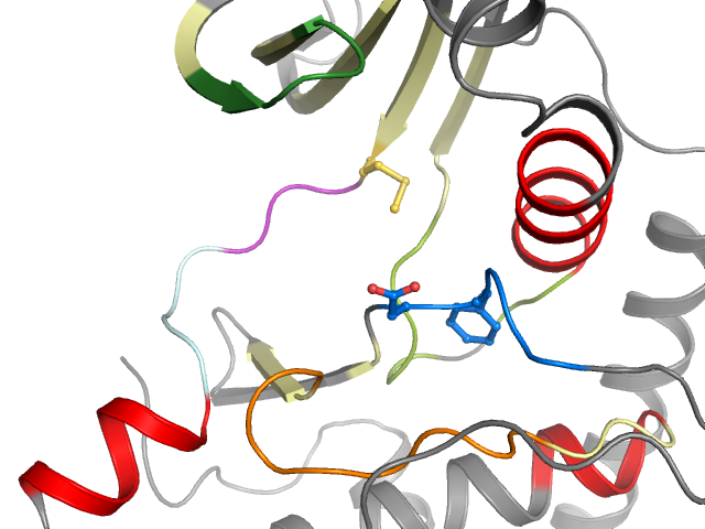 The orthosteric binding pocket
