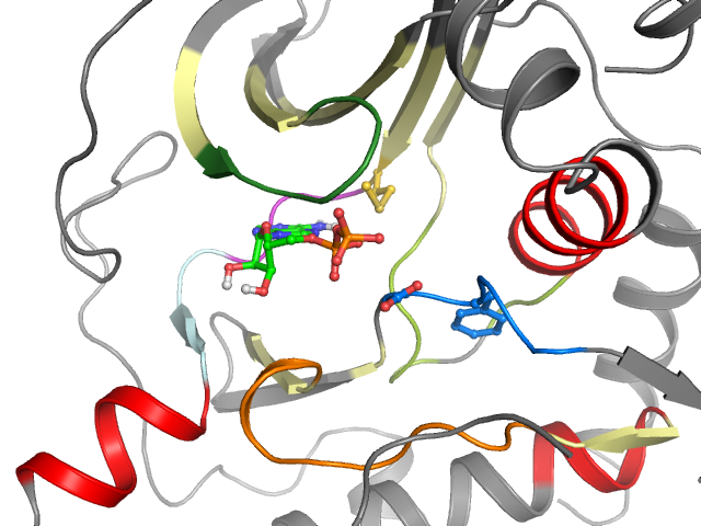 The orthosteric binding pocket