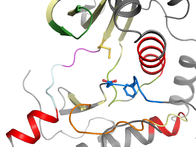 The orthosteric binding pocket