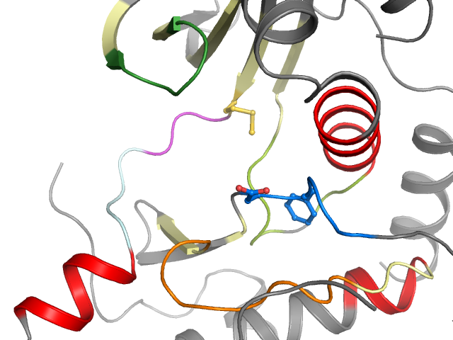 The orthosteric binding pocket