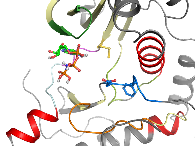 The orthosteric binding pocket