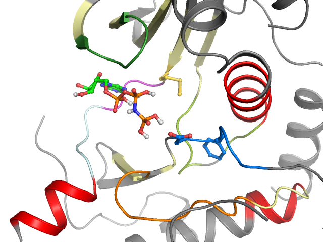 The orthosteric binding pocket