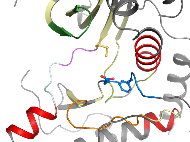 The orthosteric binding pocket
