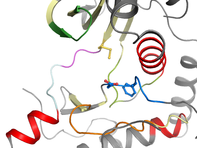 The orthosteric binding pocket