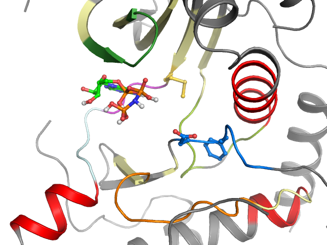 The orthosteric binding pocket