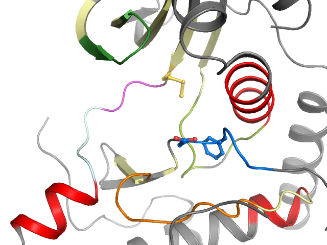 The orthosteric binding pocket