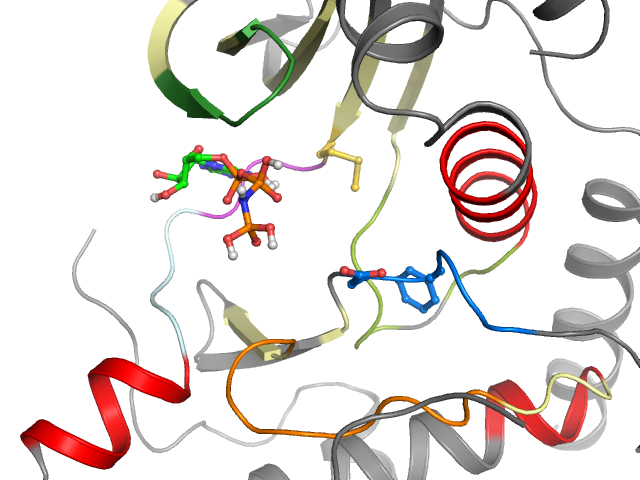 The orthosteric binding pocket