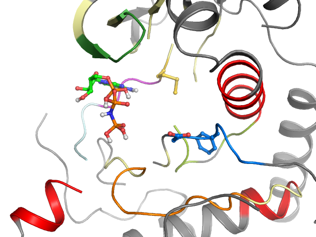 The orthosteric binding pocket