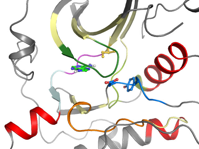 The orthosteric binding pocket