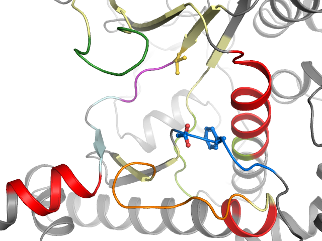 The orthosteric binding pocket