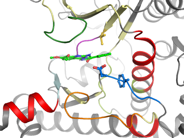 The orthosteric binding pocket
