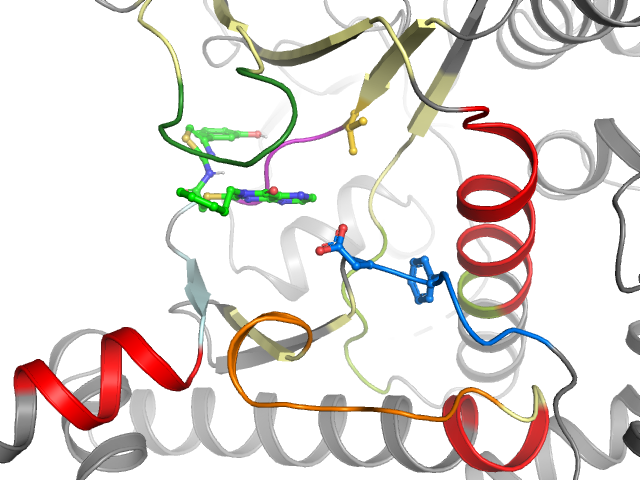 The orthosteric binding pocket